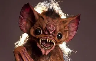 ! !  VAMPIRE BAT  ! !
